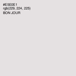 #E5E0E1 - Bon Jour Color Image
